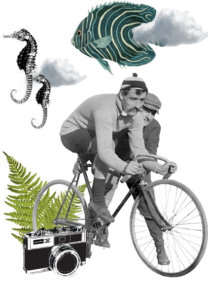 Proyectos realizados